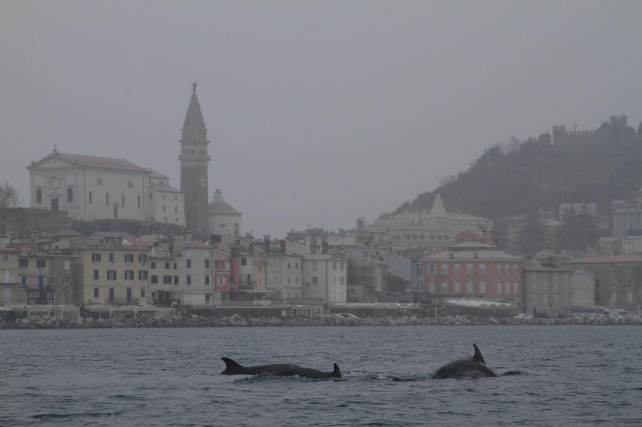 Sal & Mar Apartments Piran Luaran gambar