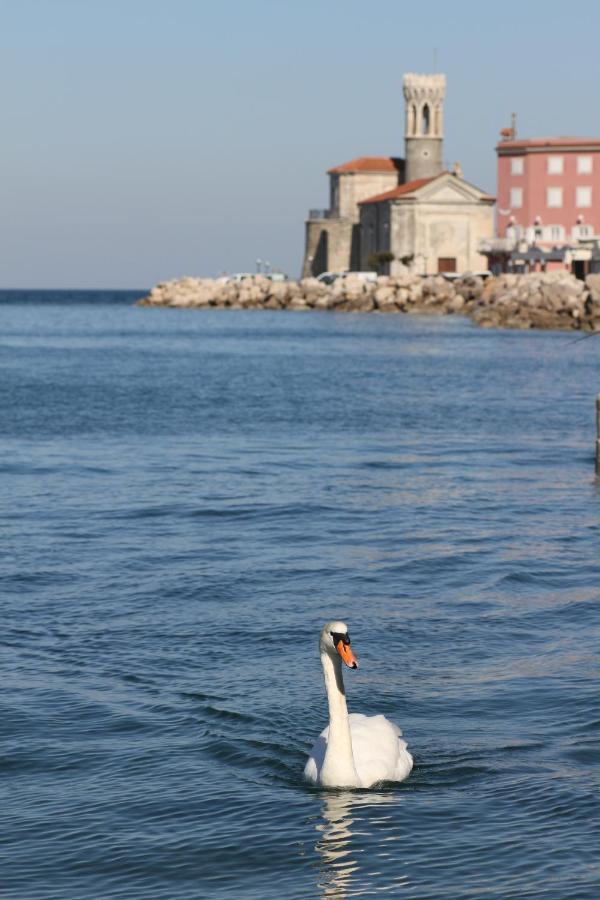 Sal & Mar Apartments Piran Luaran gambar